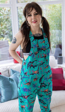 Load image into Gallery viewer, Run And Fly Jade Adventure Dino Stretch Twill Dungarees