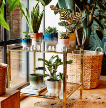 Load image into Gallery viewer, Mojave Glaze Grey Large Planter On Legs