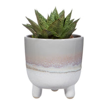 Load image into Gallery viewer, Mojave Glaze Grey Large Planter On Legs