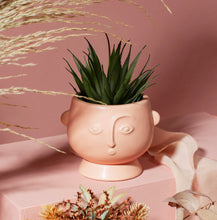 Load image into Gallery viewer, Small Face Planter Matt Pink