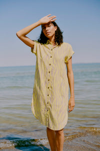 Byoung Byfalakka Shirt Dress Sunny Lime Animal  Print