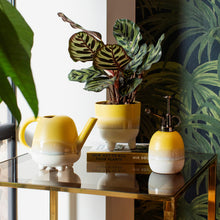 Load image into Gallery viewer, Mojave Glaze Large Planter In Yellow On Legs
