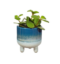 Load image into Gallery viewer, Mojave Mini Blue Planter
