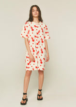 Load image into Gallery viewer, Ant Print Mini Plush Sweater Dress
