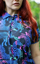 Load image into Gallery viewer, Run and Fly Rainbow Zebra Skater Dress
