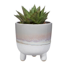 Load image into Gallery viewer, Mojave Glaze Grey Large Planter On Legs
